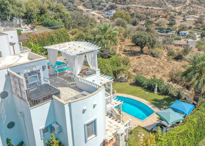 Vintage Αλικαρνασσός